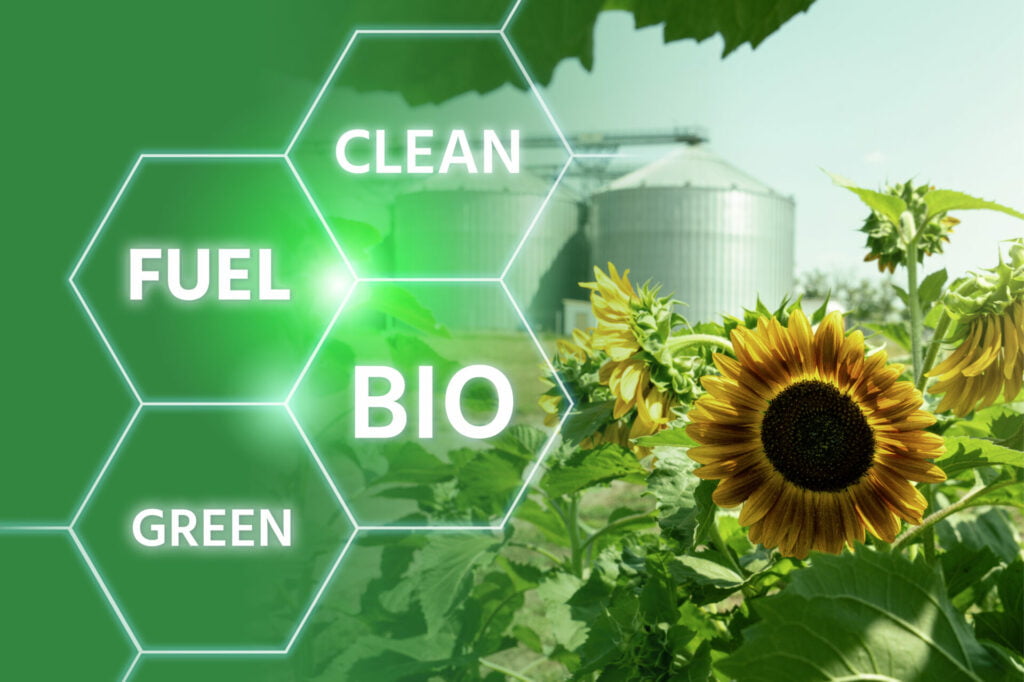 Vad är biodiesel? | Biofuel Express